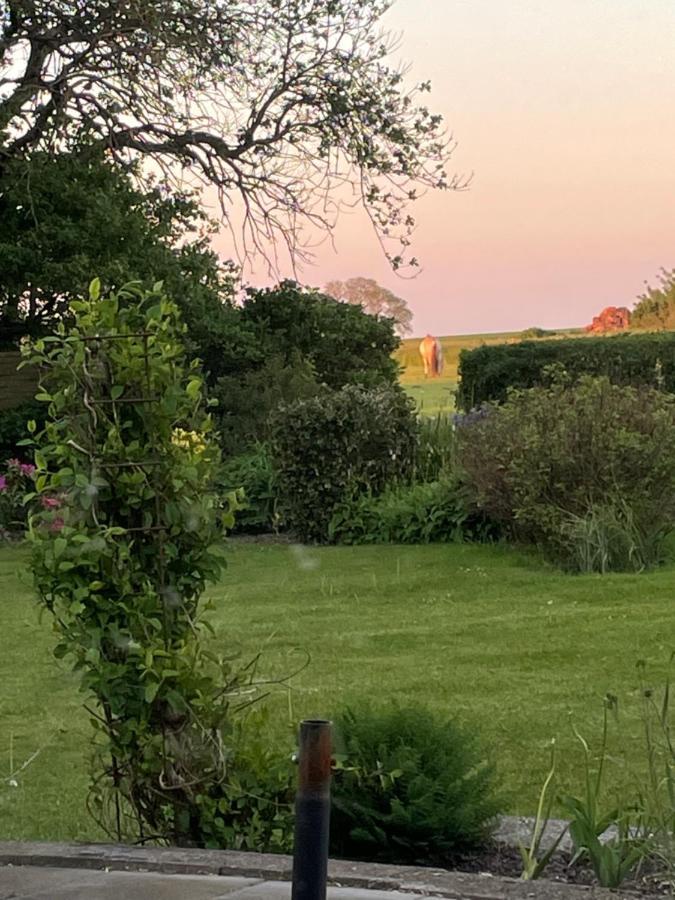 Kragh B&B Losning Exteriör bild